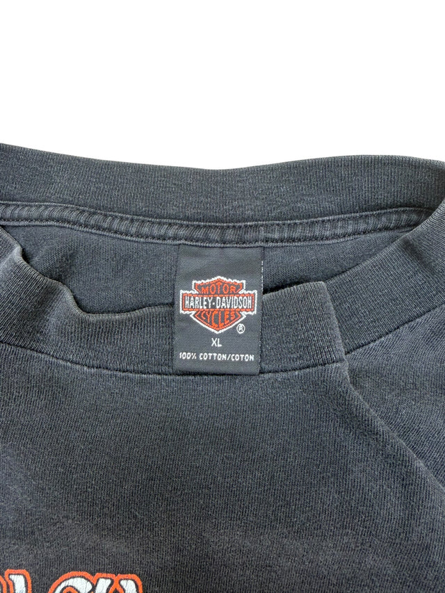 1999 Harley Davidson Eagle Flames Tee