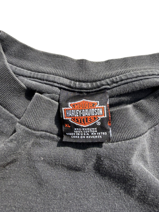 Vintage Faded Harley Davidson Upraised Eagle Tee