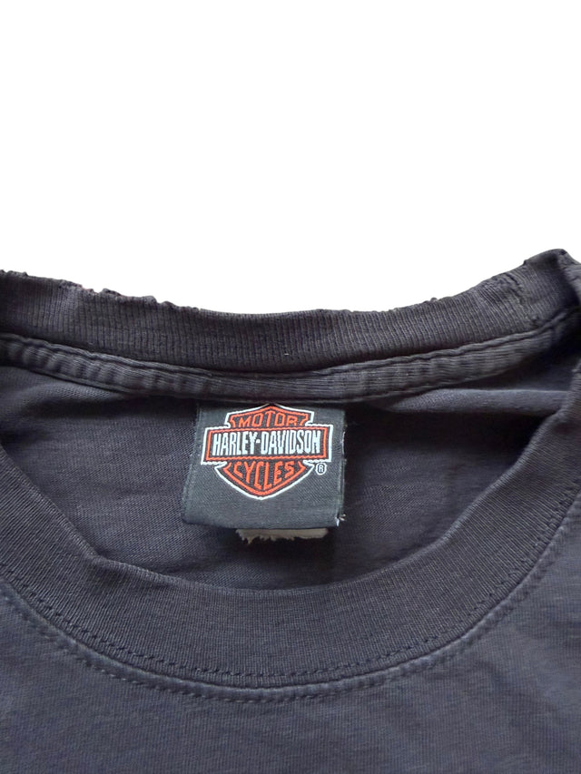 Vintage Distressed Harley Davidson Three Skulls Flame Long Sleeve