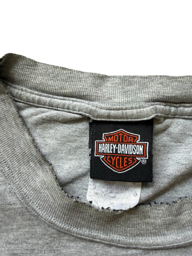 Vintage Harley Davidson Speedway Flame Long Sleeve