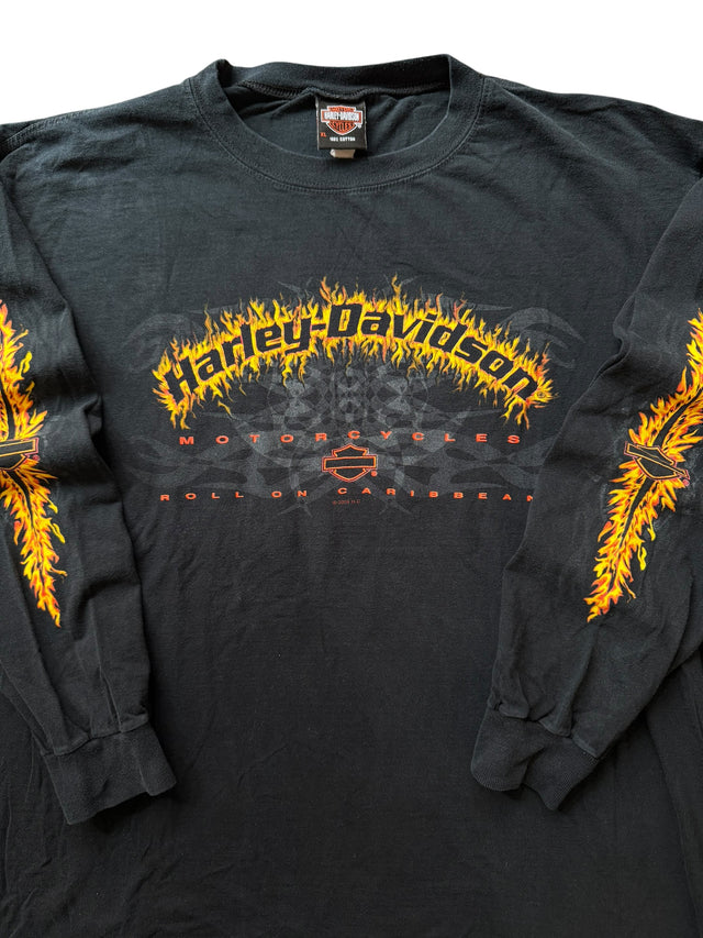 Vintage Harley Davidson Flames Long Sleeve