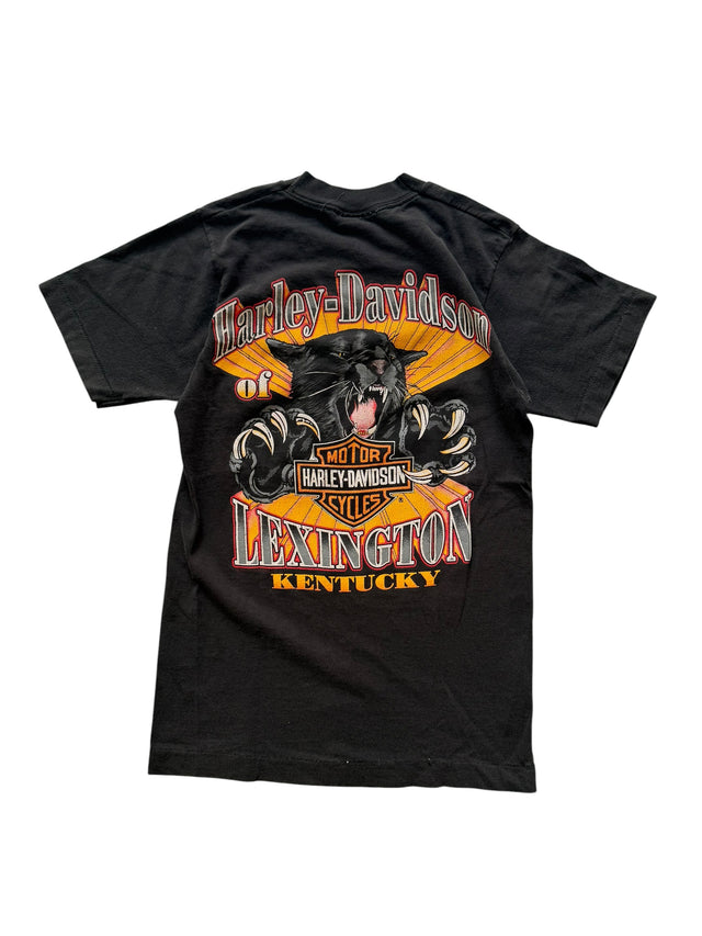 Vintage Harley-Davidson Zion Eagle & Desert Sunset Pocket Tee