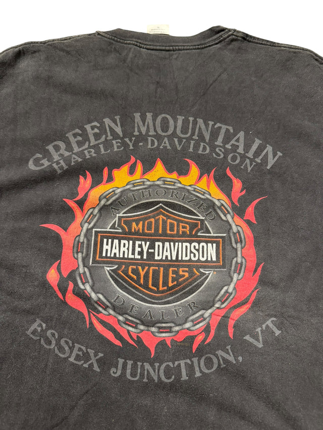 Vintage Harley-Davidson Willie G Skull Red Flames Tee - Green Mountain HD Essex Junction VT