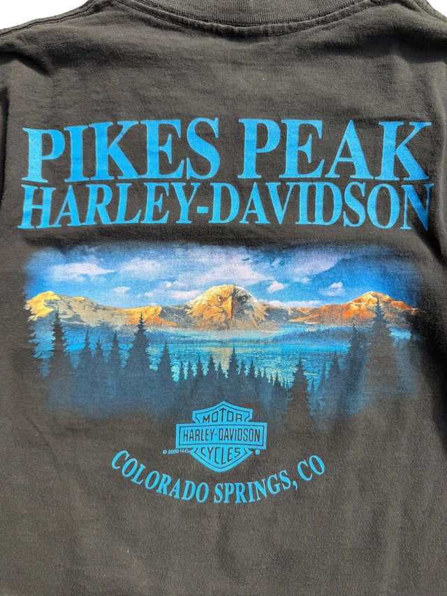 2000 Harley Davidson Flame Purple Logo Tee