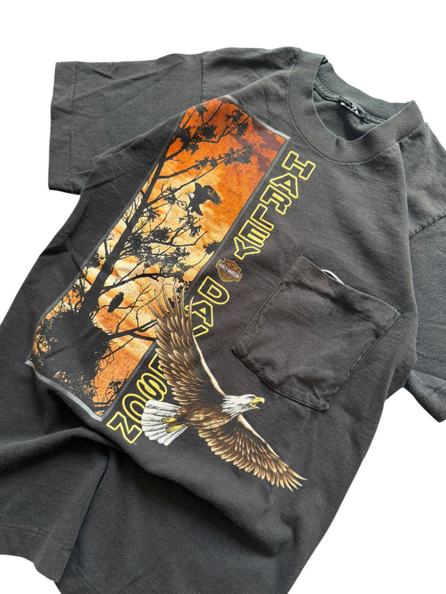 Vintage Harley-Davidson Zion Eagle & Desert Sunset Pocket Tee