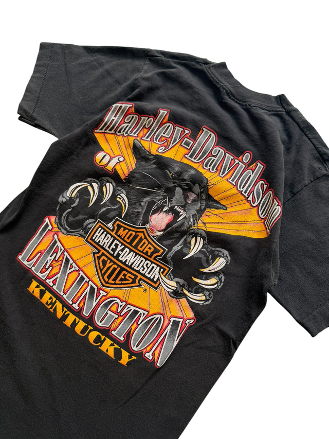 Vintage Harley-Davidson Zion Eagle & Desert Sunset Pocket Tee